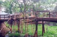 আগৈলঝাড়ায় জরাজীর্ণ সেতু, বাঁশ দিয়ে জোড়াতালিতে চলছে পারাপার