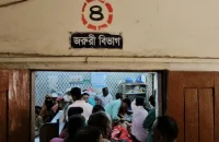 পাথরঘাটায় বেওয়ারিশ কুকুরের কামড়ে আহত অন্তত ২৫