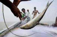 বাংলাদেশের জলসীমায় সব ধরনের মাছ ধরার ওপর ৫৮ দিনের সরকারি নিষেধাজ্ঞা