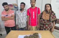 বাউফলে ইয়াবা ও গাঁজাসহ ৪ বিক্রেতা গ্রেপ্তার