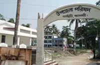 দুই মাস ধরে নেই ইউএনও, অতিরিক্ত কর্মকর্তা দিয়ে চলছে নলছিটি উপজেলা