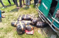 চলন্ত সিএনজিতে আগুন, নেভাতে গিয়ে মিলল ১৯ কেজি গাঁজা
