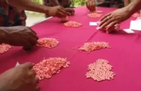 যাত্রীবাহী বাসে মিলল ১০ হাজার ইয়াবা