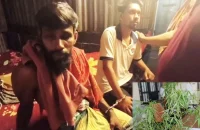 পিরোজপুরে গাঁজা গাছসহ মাদক সেবনরত অবস্থায় দুই যুবক গ্রেপ্তার