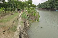 লেবুখালী ভাড়ানী খালে তীব্র ভাঙন: বসতভিটা ও সড়ক হুমকিতে, আতঙ্কে এলাকাবাসী