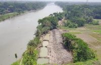 পটুয়াখালীতে ব্যক্তি মালিকানাধীন জমির গাছ কেটে মাটি ভরাট ও ভেরীবাঁধ নির্মাণের অভিযোগ