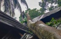 কালবৈশাখী ঝড়ের তাণ্ডবে বিদ্যুৎ-বিচ্ছিন্ন বরিশালের ৪ উপজেলা, ঈদের আগে চরম ভোগান্তি
