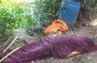 পটুয়াখালীতে সৌদি প্রবাসী নারীর মরদেহ উদ্ধার, স্বামী পলাতক