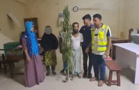 ভোলায় গাঁজা ও গাছসহ আটক ৩