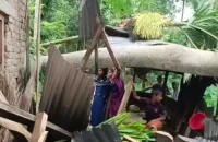 ঘরের ওপর গাছ পড়ে গৃহবধূর মৃত্যু