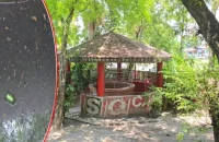 হারানোর পথে ইতিহাসের সাক্ষী ‘কুয়াকাটার কুয়া’