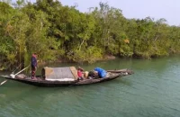 সুন্দরবনে জলদস্যুদের ডাকাতি: এক ট্রলারসহ ১৭ জেলে অপহরণ
