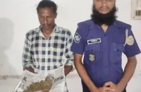 মির্জাগঞ্জে ৫০ গ্রাম গাঁজাসহ মাদক ব্যবসায়ী গ্রেপ্তার