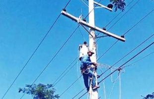 বরিশালে পল্লী বিদ্যুৎ সমিতির অভিযানে ২৩ সংযোগ বিচ্ছিন্ন