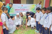 আগৈলঝাড়ায় ‘ওয়ান চাইল্ড, ওয়ান ট্রি’ কর্মসূচি, ৩৮ মাধ্যমিক বিদ্যালয়ে বৃক্ষরোপণ