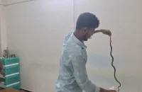 ক্লিনিকের এসির ভেতর থেকে কালনাগিনী সাপ উদ্ধার