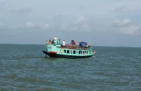 বরিশালের নয়াভাঙনী নদীতে লাকড়িবোঝাই ট্রলারে ডাকাতি, ৪৩ হাজার টাকা লুট