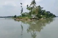ঝালকাঠিতে বিষখালীর ভাঙনে বিলীন হওয়ার আশঙ্কায় অস্তিত্ব সংকটে ৫৪ পরিবার