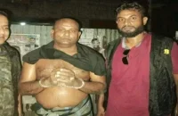 পিরোজপুরে গৃহবধূর পরকীয়া দেখে ফেলায় শাশুড়িকে হত্যা, প্রধান আসামি গ্রেপ্তার