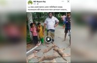 বরিশালে সাত শিয়াল হত্যায় ১০ জনের বিরুদ্ধে মামলা গ্রহণের নির্দেশ