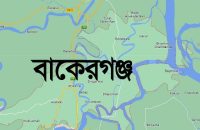 বাকেরগঞ্জে জমি নিয়ে বিরোধে গাছ উপড়ে ফেলার অভিযোগ, ন্যায্য বণ্টনের দাবি