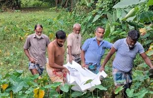 বরগুনায় নিখোঁজের ২ দিন পর ডোবায় মিলল যুবকের পা বাঁধা বস্তাবন্দি মরদেহ