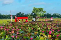 লাল শাপলা দেখতে নেমে আর ফেরা হলো না কলেজছাত্রের