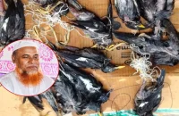 পাখি মেরে পৈশাচিক উল্লাস!