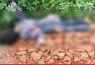 বরিশাল-ঢাকা মহাসড়কের পাশ থেকে অজ্ঞাত নারীর মরদেহ উদ্ধার