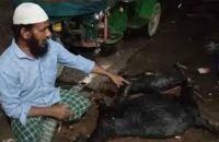 পিরোজপুরে দুই ছাগলকে বেঁধে খালে ফেলে হ’ত্যা, বিচারের দাবিতে থানায় কৃষক