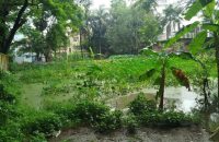 বরিশালে জলাশয় ভরাট করে হাসপাতালের ১০ কোটি টাকার জমি দখলের পায়তারা