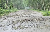 বরগুনায় দাপ্তরিক জটিলতায় ৪৫ কিলোমিটার পাকা সড়ক এখন কাঁচা, দুর্ভোগ চরমে