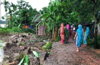 বরিশালের আড়িয়াল খাঁ নদীর ভাঙনে একদিনে ১০টি বাড়ি বিলীন