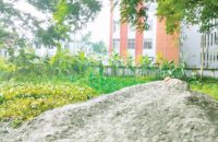 বরিশালে বালু ফেলে সরকারি পুকুর ভরাট