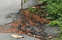 আগৈলঝাড়ায় সোয়া কোটি টাকায় সড়ক সংস্কার, তিন মাসের মধ্যেই ভাঙন