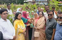 বরিশালের বিভিন্ন শিক্ষাপ্রতিষ্ঠানে ২০ হাজার গাছের চারা বিতরণ