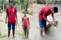 বরিশালে কাদা-পানিতে ধানের চারা রোপণ করে অভিনব প্রতিবাদ