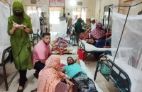 বরিশালে ২৪ ঘণ্টায় ডেঙ্গু আক্রান্ত হয়ে হাসপাতালে ভর্তি ২১১ রোগী