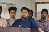 সরকারও মনে হয় ৮০’র দশকে ফিরে যাবে: নাহিদ