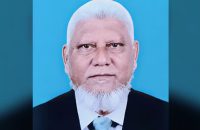 মা-শিশুকে নির্যাতনের অভিযোগে বিএনপি নেতাকে শোকজ