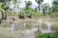 পোনাবালিয়ায় পাঁচ খাল পুনঃখননে স্বস্তিতে কয়েক হাজার কৃষক