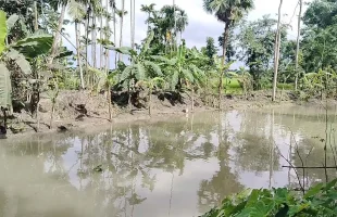 পোনাবালিয়ায় পাঁচ খাল পুনঃখননে স্বস্তিতে কয়েক হাজার কৃষক
