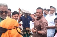 নদীভাঙনে গৃহহীন ২০০ পরিবারের মাঝে চাল বিতরণ