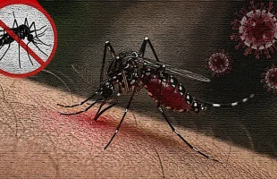 বরিশাল শেবাচিম হাসপাতালে ডেঙ্গুতে ২ নারীর মৃত্যু