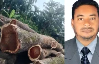 সরকারি ৪ শতাধিক গাছ কাটার অভিযোগ যুবদল নেতার বিরুদ্ধে