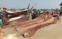 মধ্যরাতে উঠছে নিষেধাজ্ঞা, মাছ শিকারে নামছেন উপকূলের জেলেরা