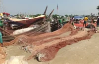 মধ্যরাতে উঠছে নিষেধাজ্ঞা, মাছ শিকারে নামছেন উপকূলের জেলেরা