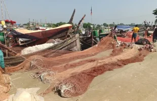মধ্যরাতে উঠছে নিষেধাজ্ঞা, মাছ শিকারে নামছেন উপকূলের জেলেরা