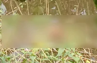 বরিশালে ডোবায় মিলল বৃদ্ধর মরদেহ