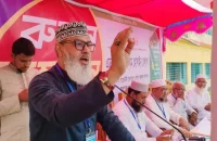 সাংবাদিকতা করবেন, আবার রাজনীতিও করবেন, পিরোজপুরে তা হতে দেওয়া হবে না: মাসুদ সাঈদী